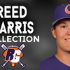 Reed Garris Collection