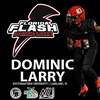 Dominic Larry Collection